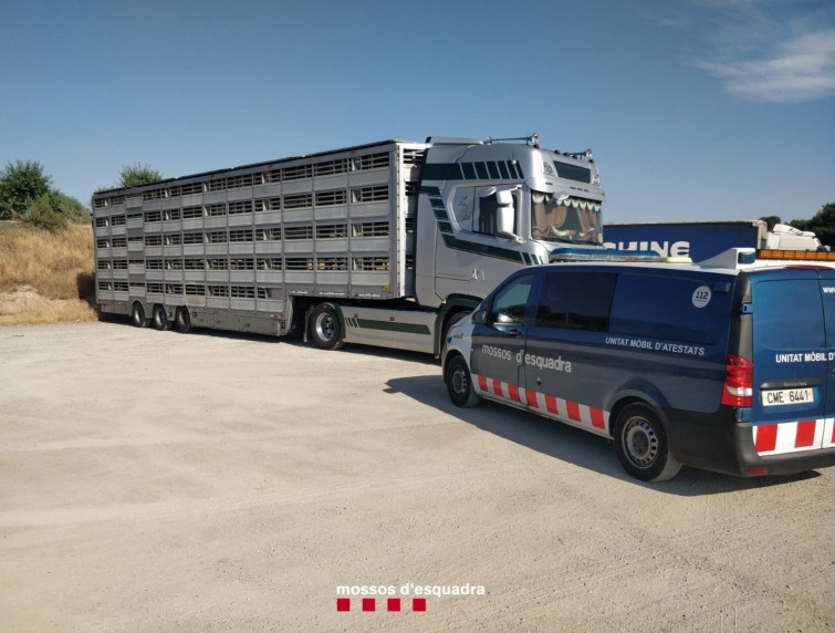 Detenido un camionero por presunta falsificación documental en Lleida