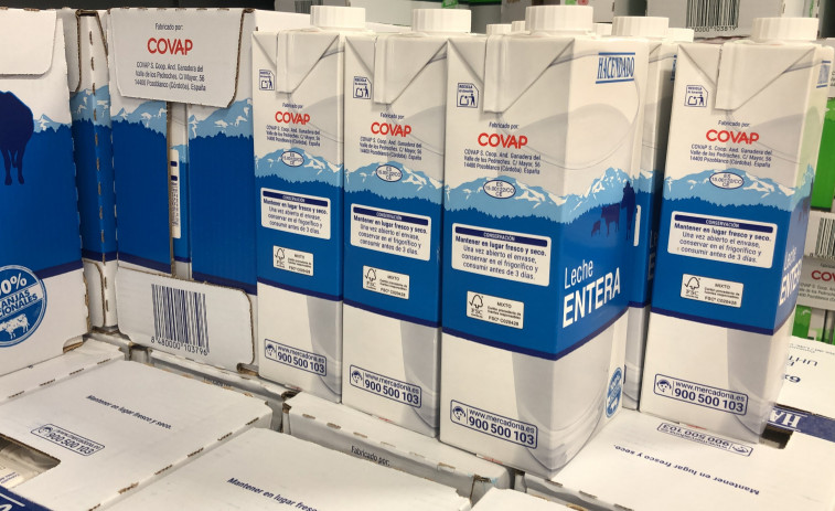 El alto consumo de leche entera está relacionado con una mayor tasa de deterioro cognitivo