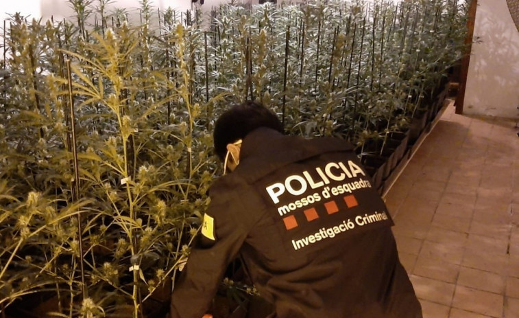 La Policía Nacional desarticula una banda que traficaba con marihuana en tres provincias