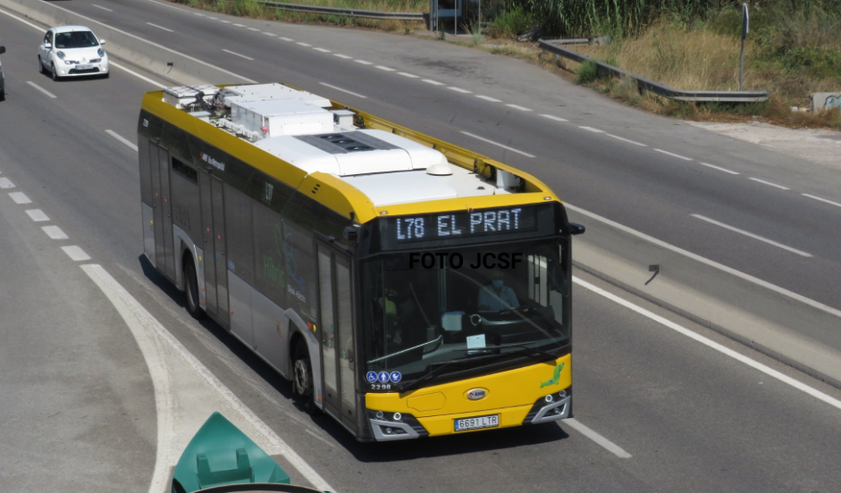 Bus