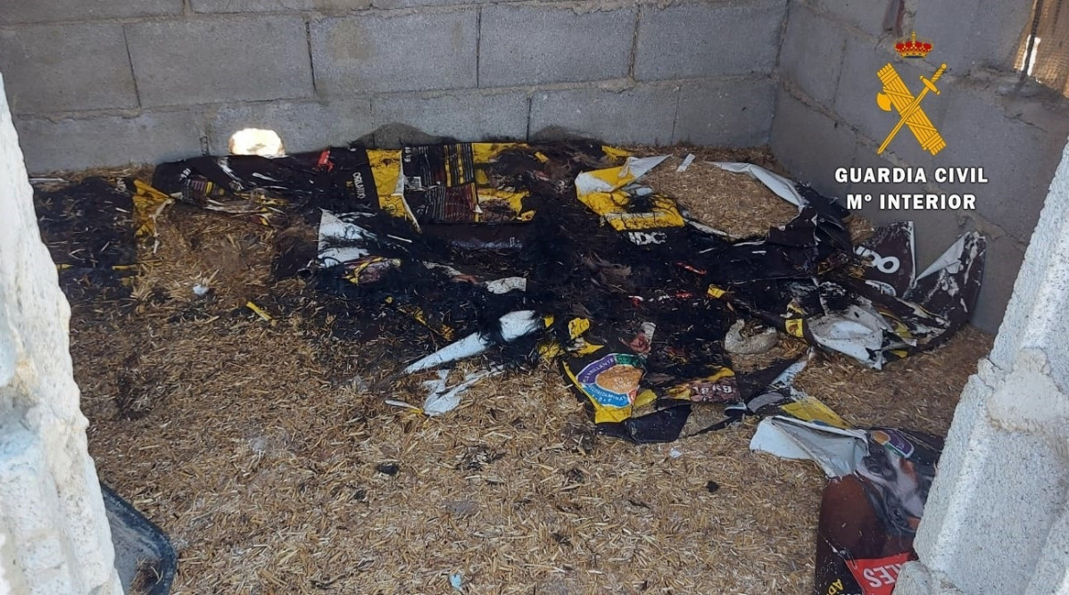 EuropaPress 4621446 cortijo fueron encontrados perros muertos