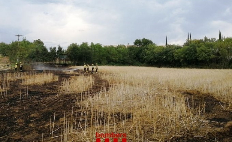 Extinguen en Santa Coloma de Farners un incendio de 2.500 m2 de vegetación