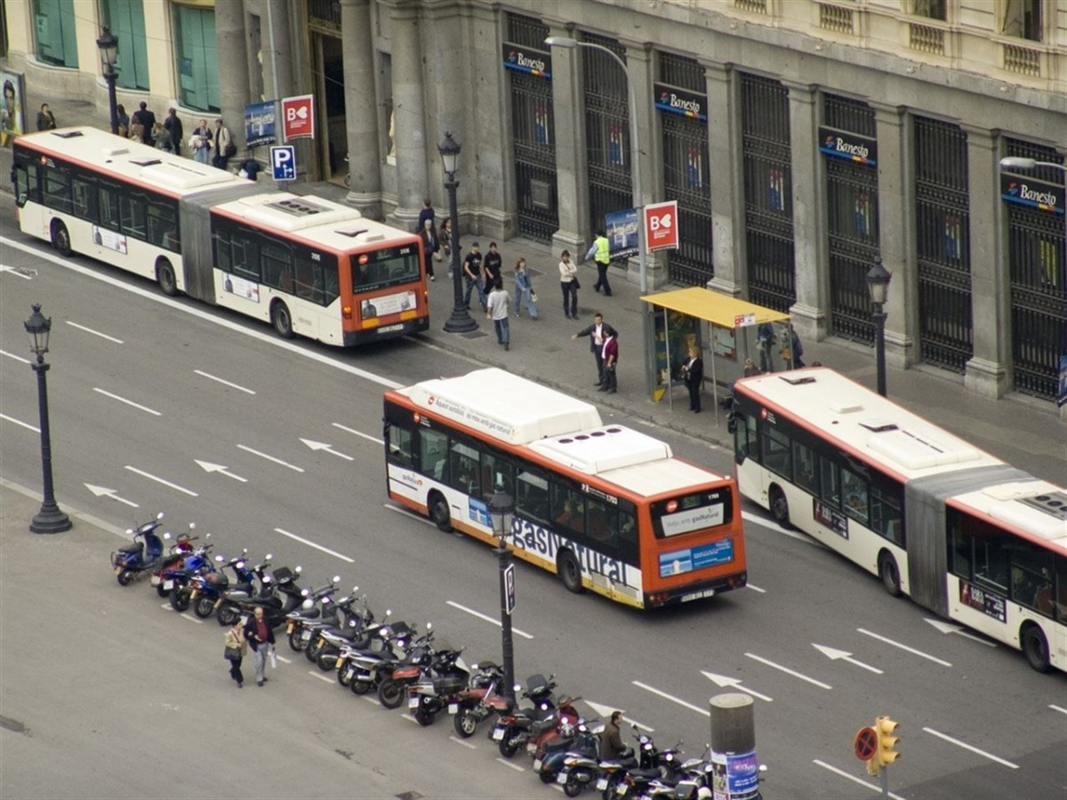 Transporte