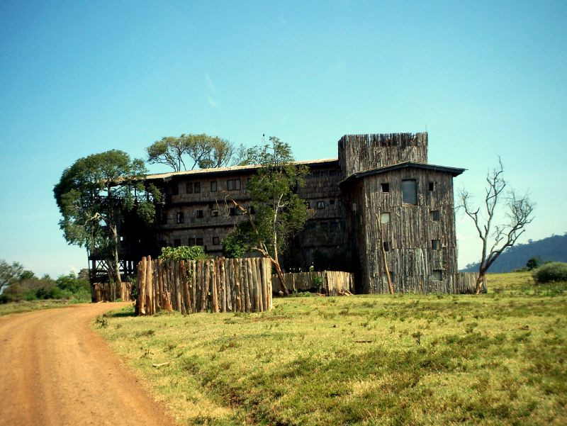 Catalunyapress treetops