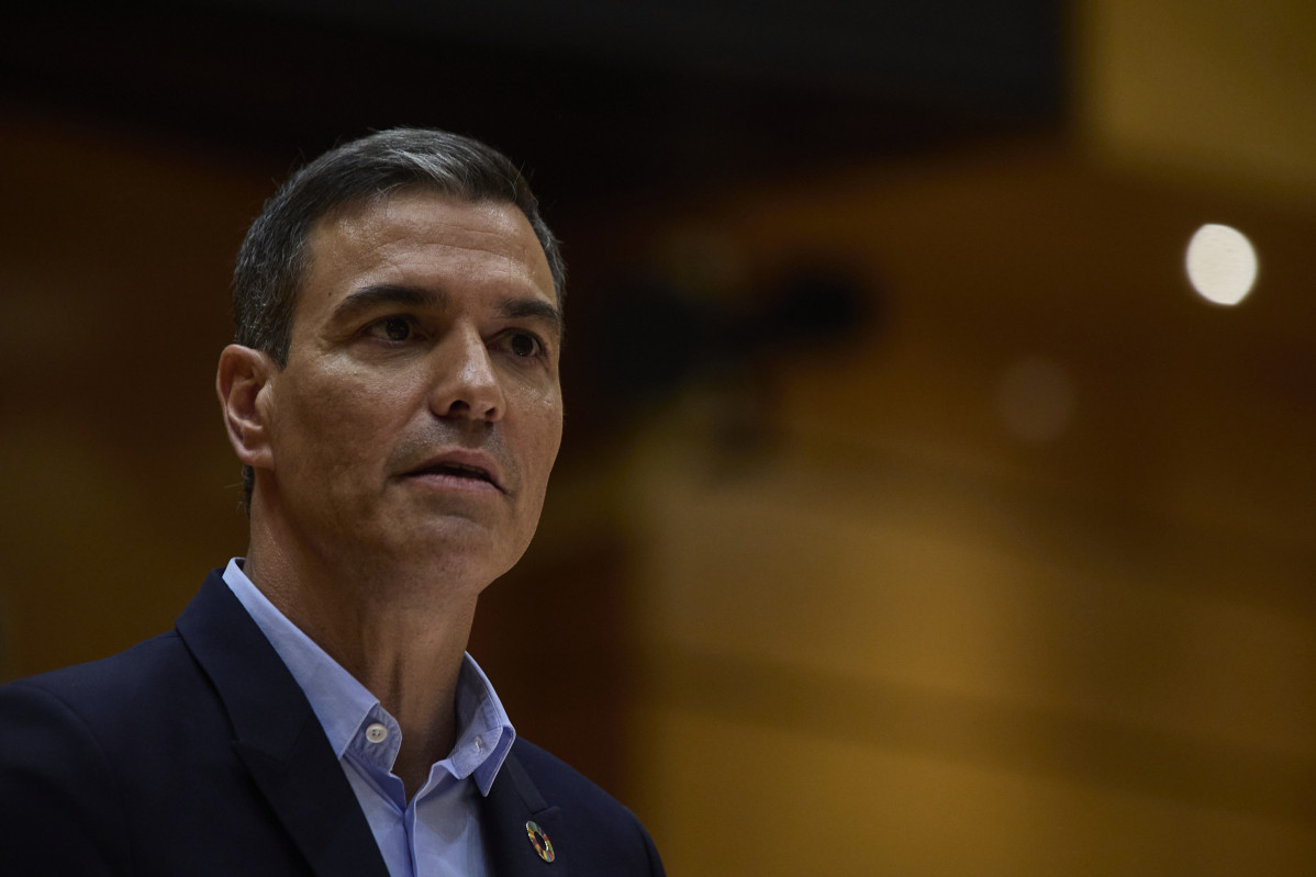 El presidente del Gobierno, Pedro Sánchez, interviene durante un debate monográfico sobre la crisis energética y el contexto económico, en el Senado, a 6 de septiembre de 2022