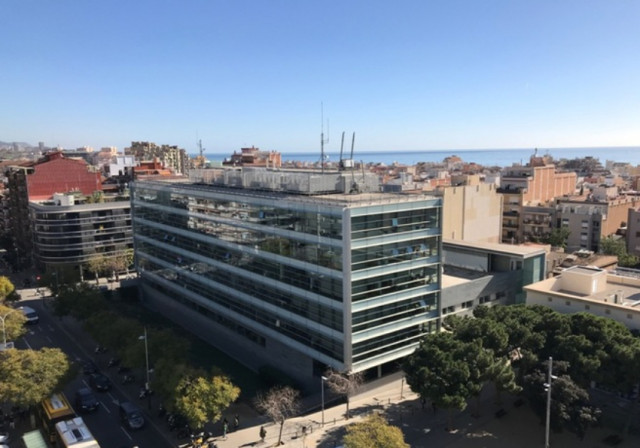 Catalunyapressajudesbdn