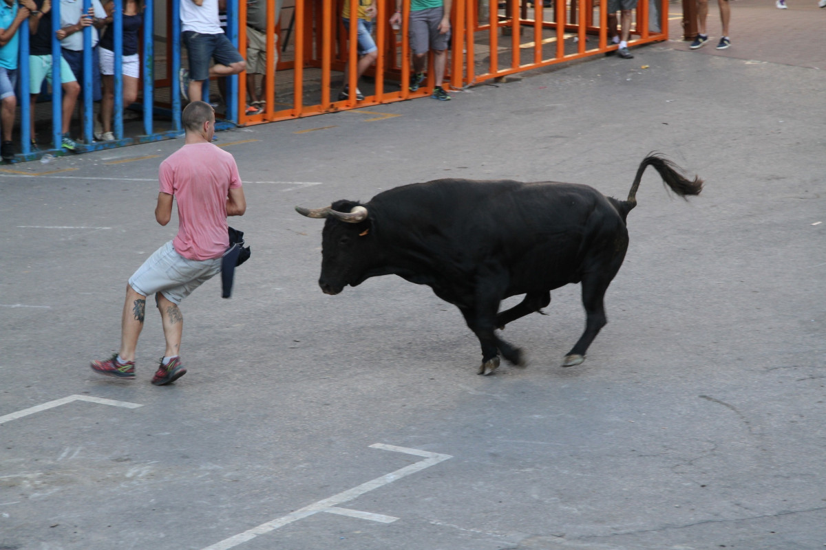 EuropaPress 1368431 bous carrer vilafames