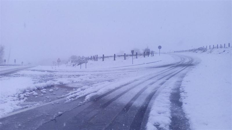 Nevadas