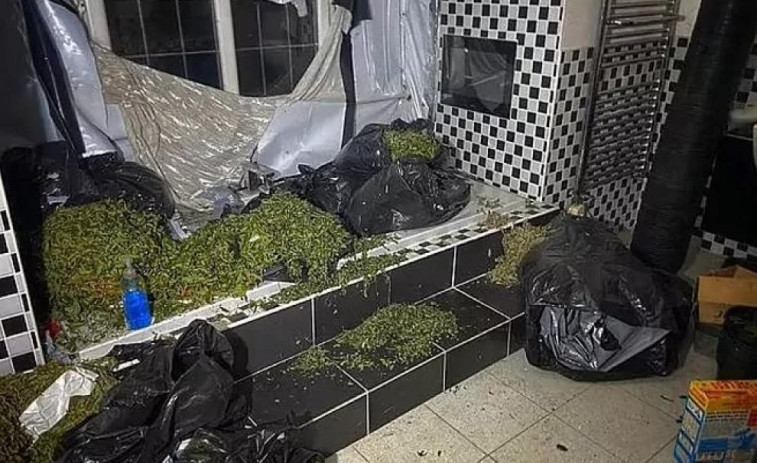 VÍDEO: Un youtuber descubre un alijo de marihuana en la casa de un exjugador del Liverpool