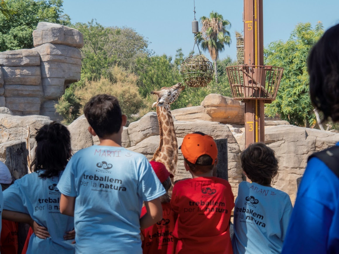 Catalunya press   zoo barcelona