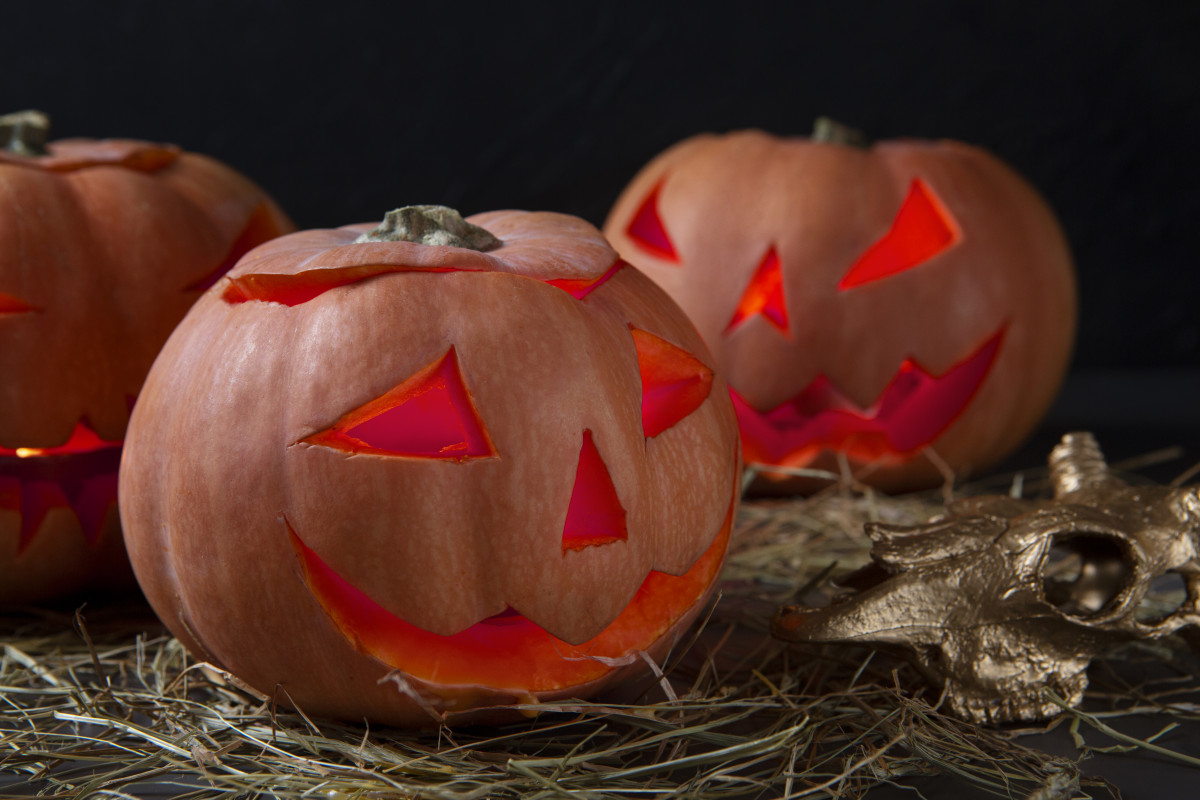 Catalunya press   calabaza