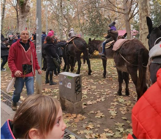 Montarburroviccatalunyapress