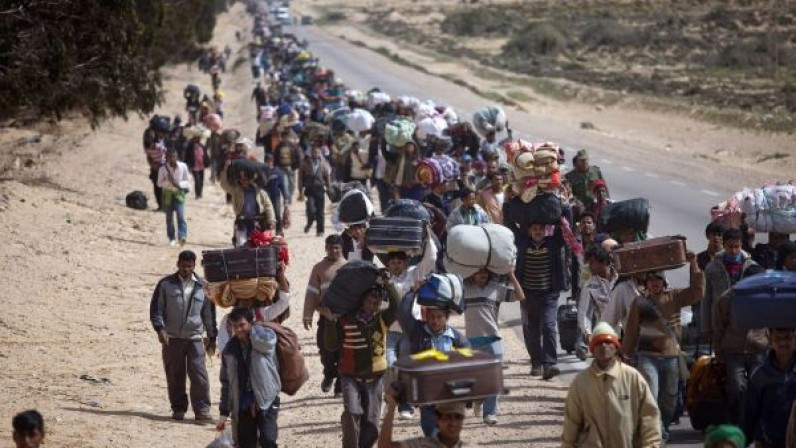 Refugiados 4