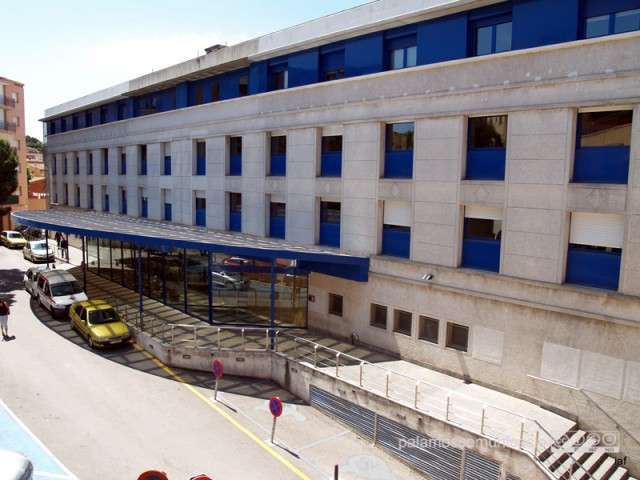 Palams 1