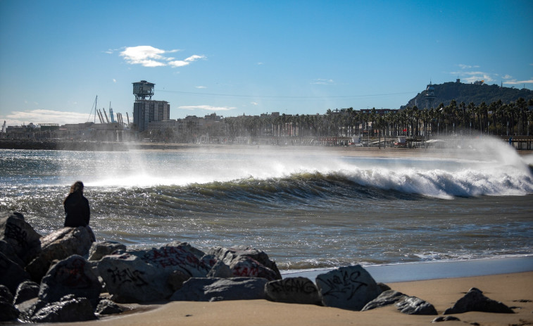 El fuerte viento en Catalunya provoca la caída de ramas, toldos, cableado y otros elementos en fachadas