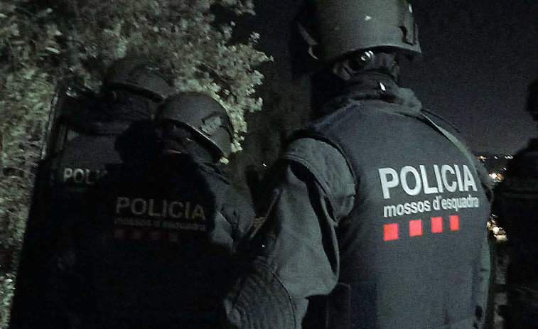 Catalunya refuerza la lucha contra el narcotráfico: menos cannabis y más incautaciones de drogas