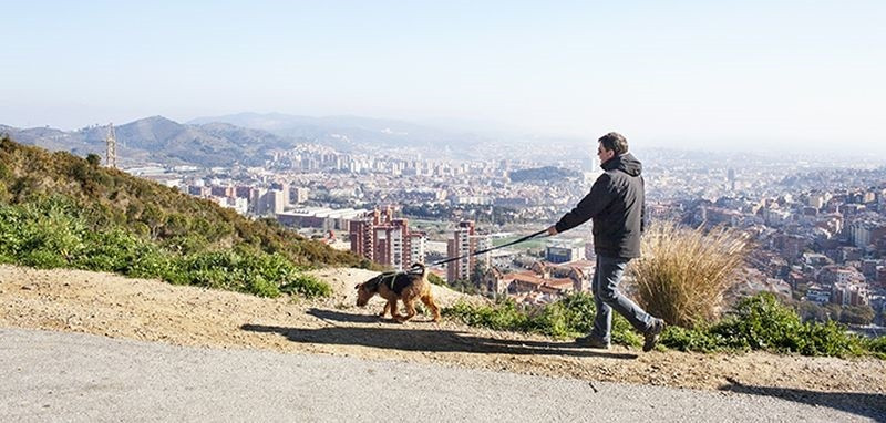 EuropaPress 5052923 persona pasea perro