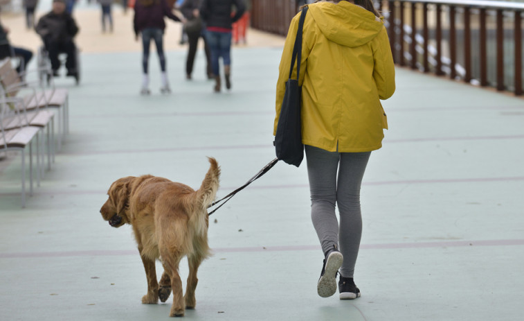 Barcelona tendrá un protocolo para actuar en los casos de envenenamientos de perros