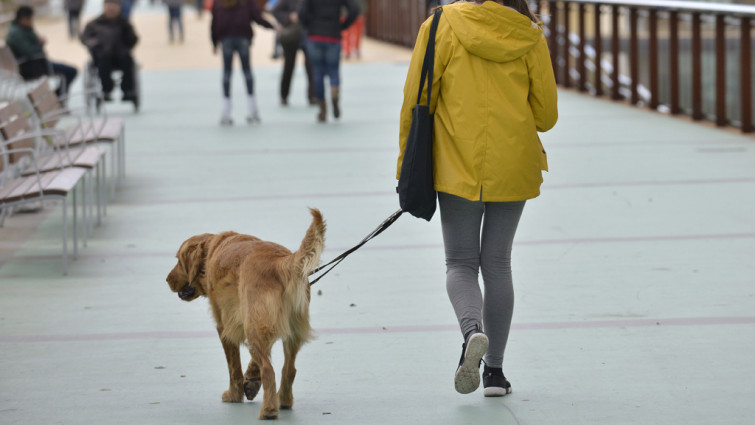 Barcelona tendrá un protocolo para actuar en los casos de envenenamientos de perros