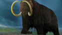 Científicos crean una albóndiga de mamut lanudo... pero no se atreven a comerla