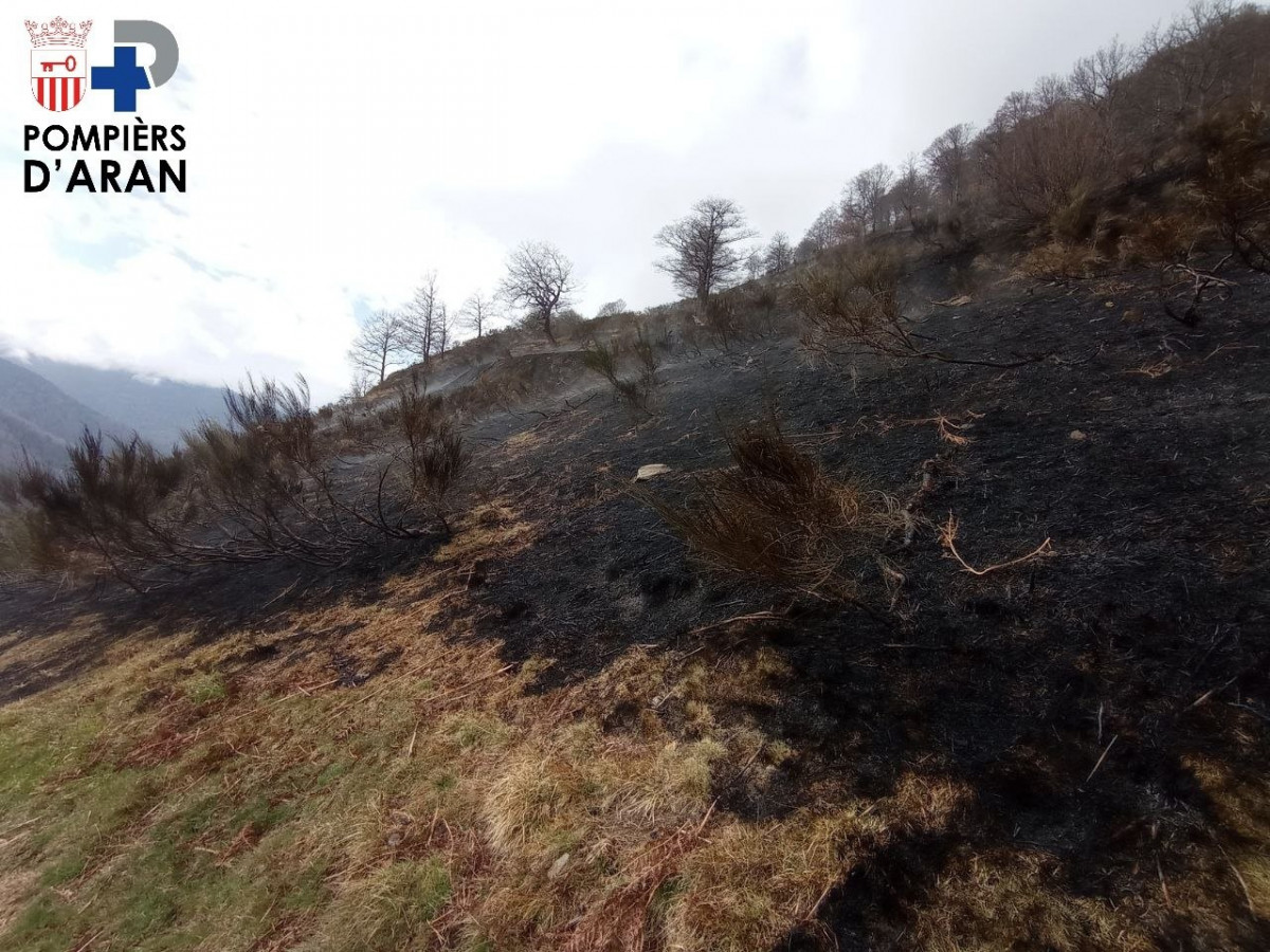 Área afectada por el fuego en Canejan (Lleida)