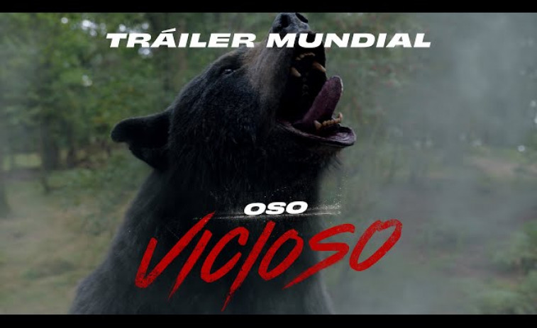 Conoce la historia real del 'Oso Vicioso': el animal que murió por sobredosis tras ingerir cocaína