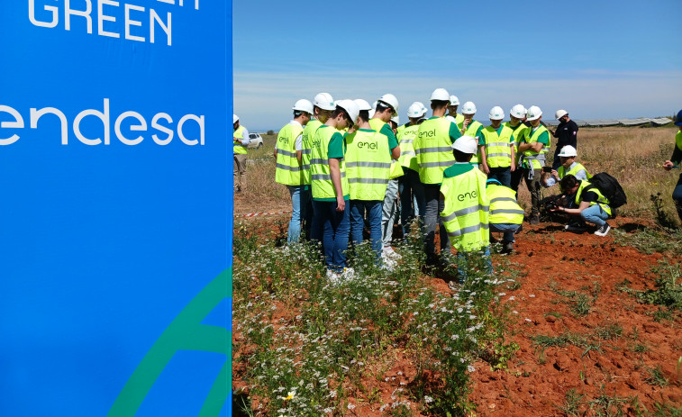 Endesa y acb luchan junto a la plataforma Forever Green del Betis para luchar contra el cambio climático