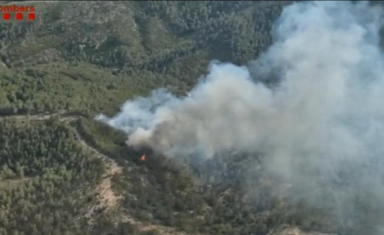 Los Bombers dan por extinguido el incendio en Vandellòs i l'Hospitalet de l'Infant