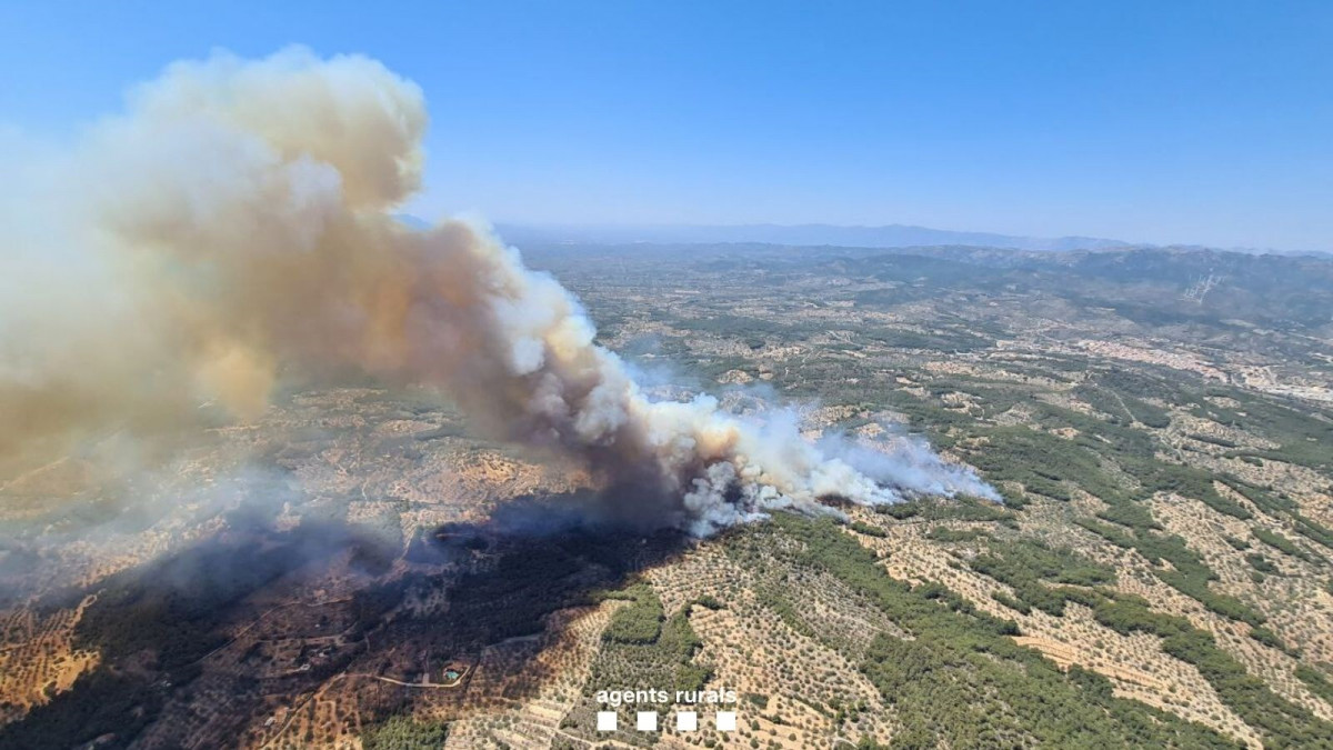 EuropaPress 5364386 zona afectada pel foc
