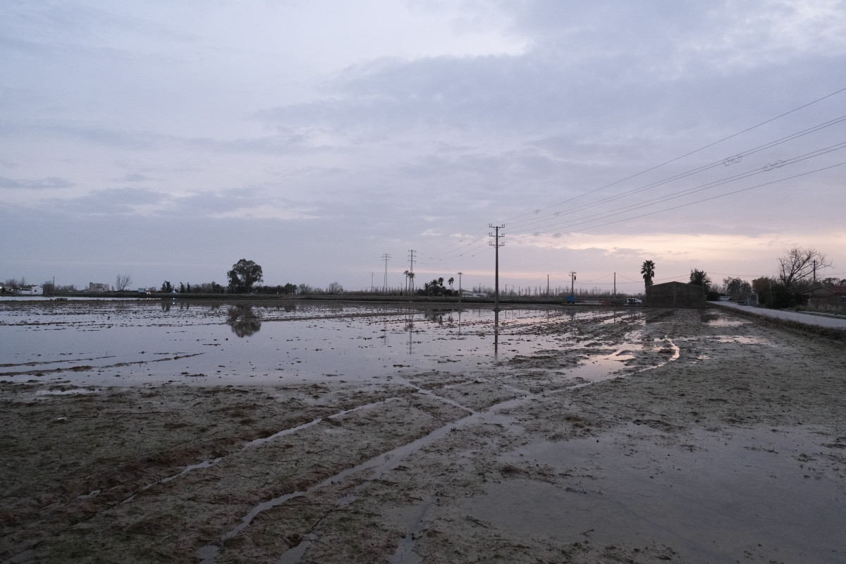 EuropaPress 2610806 zona cercana riumar tarragona delta ebro inundada borrasca gloria