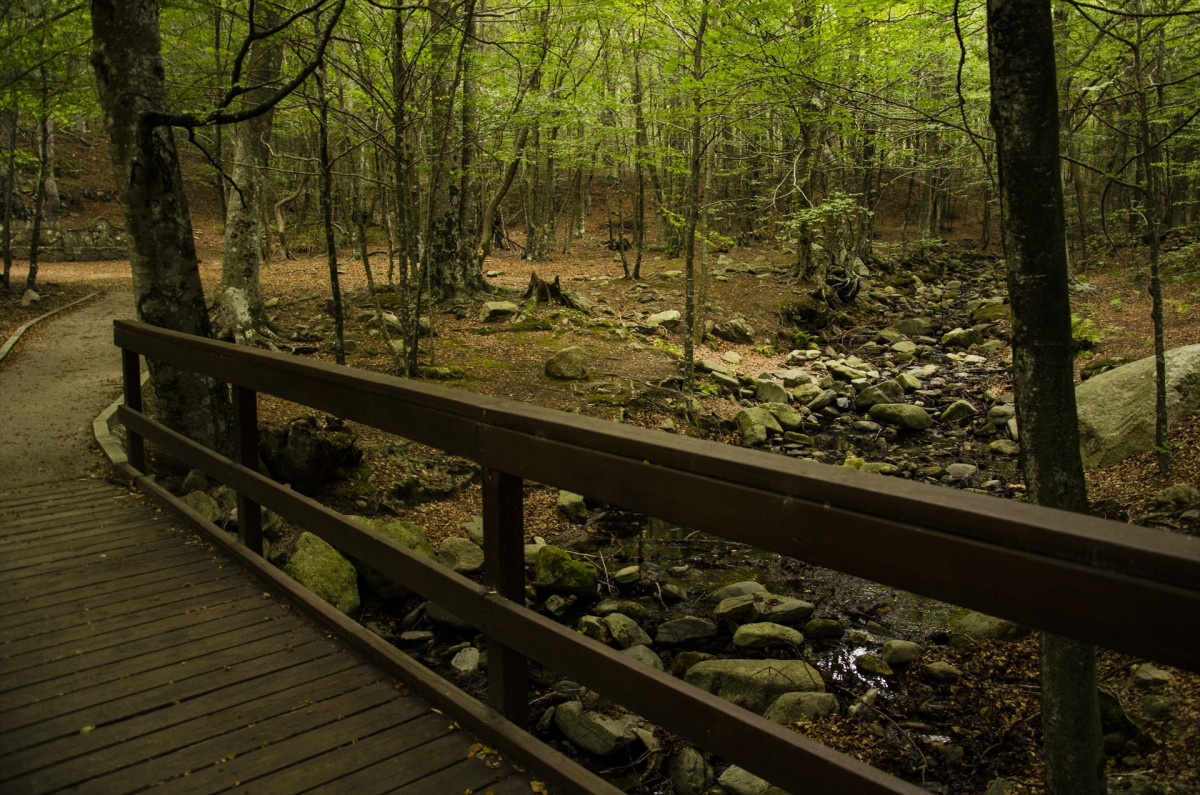 EuropaPress 5450240 alrededores font frare dia da comienzo otono 2023 parque natural montseny
