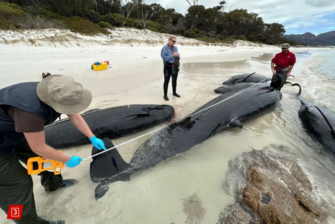 Captura de pantalla 2023 11 30 203852