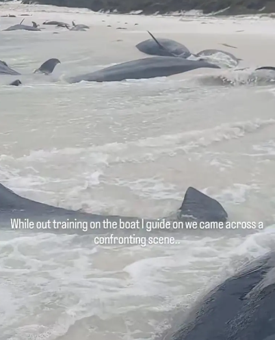 Captura de pantalla 2023 11 30 204149