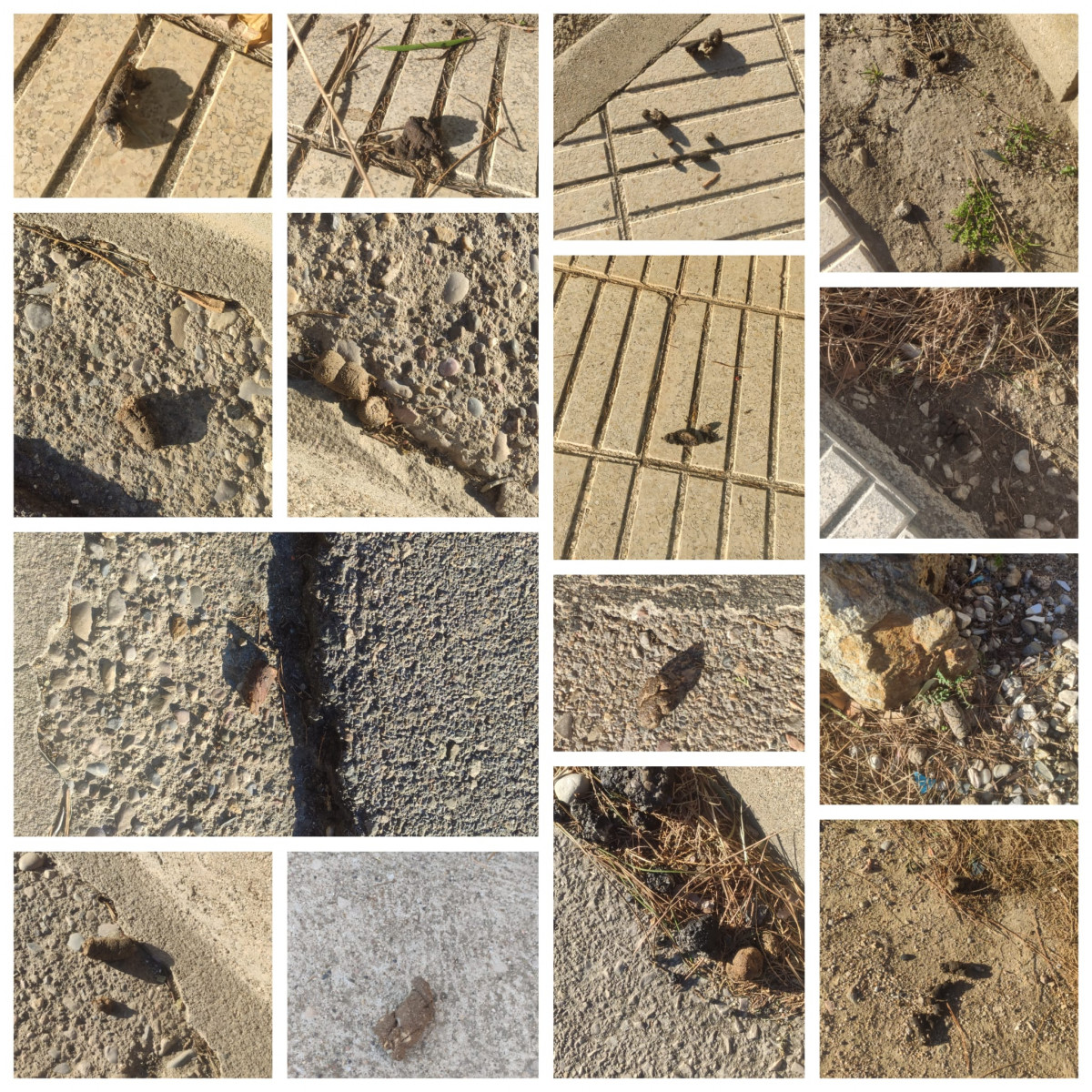 WhatsApp Image 2023 12 19 at 15.07.02