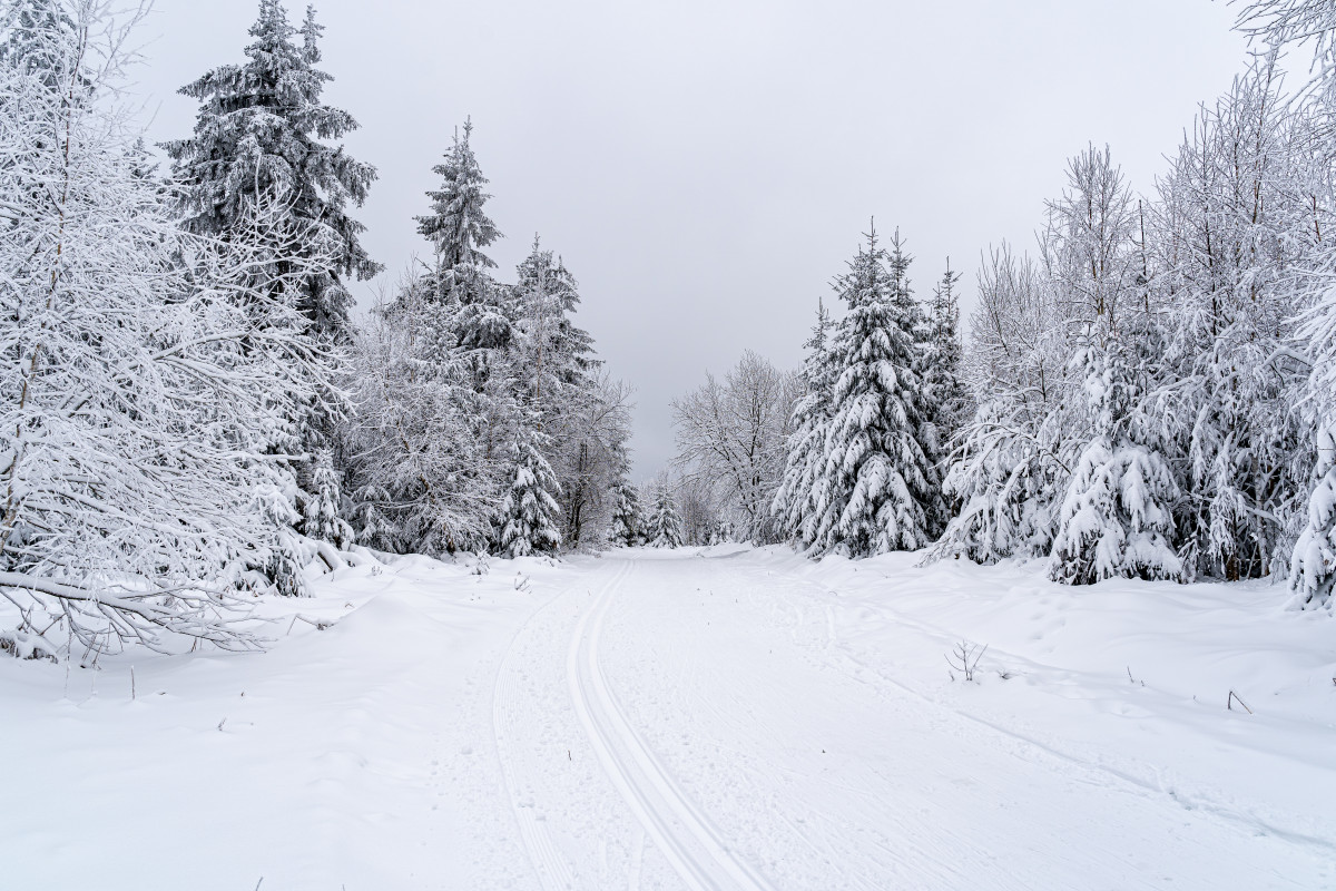 Paisaje carretera selva negra cubierta arboles nieve alemania