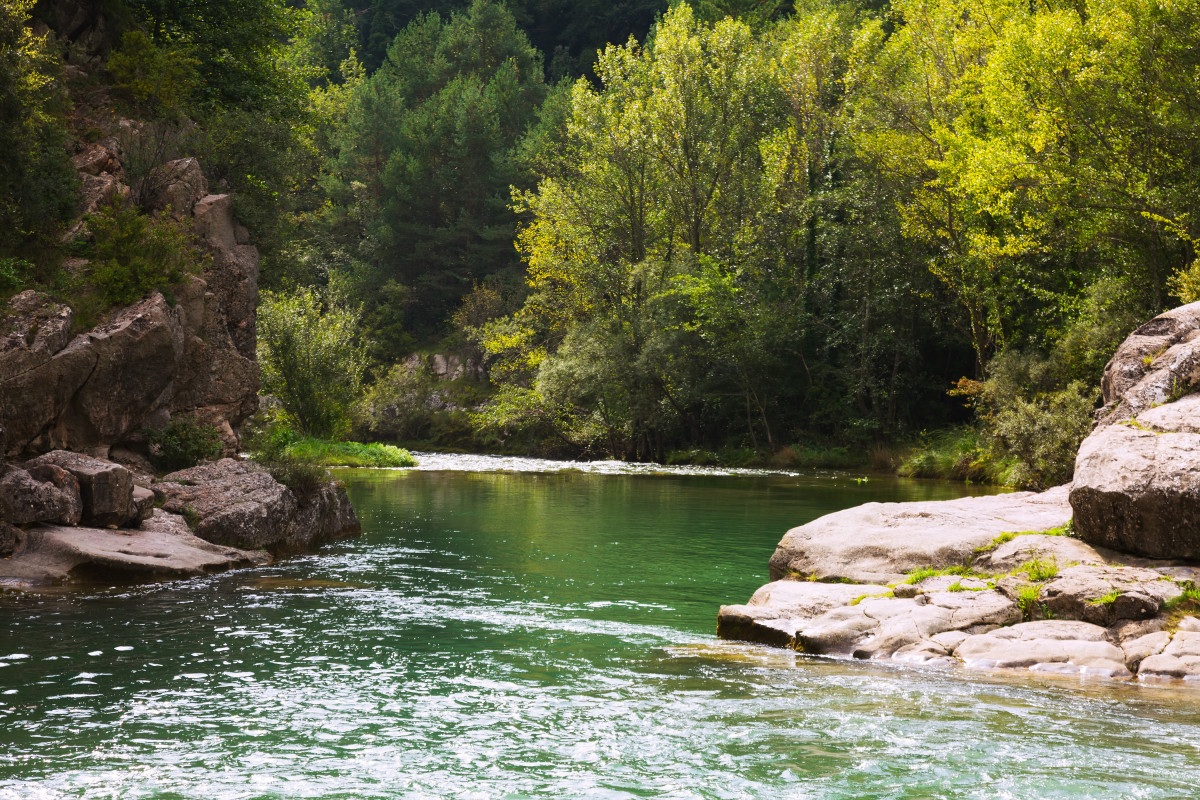 Rio montanas orilla rocosa pirineos