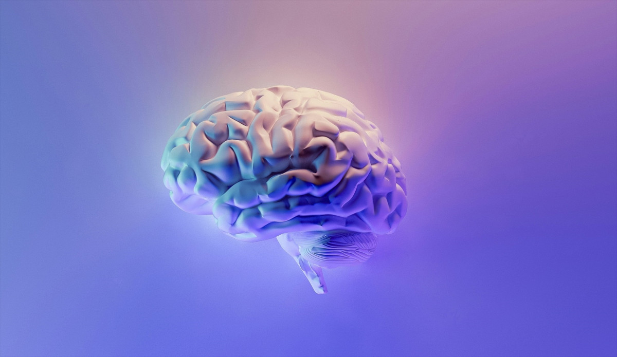 EuropaPress 5726078 recurso cerebro