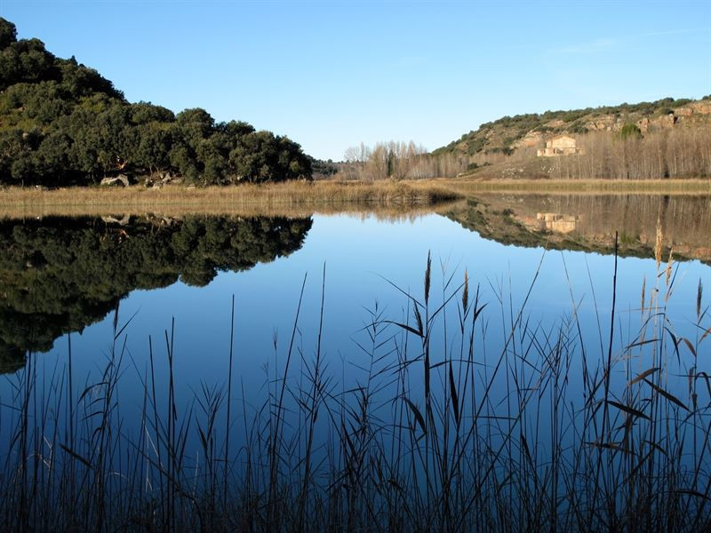 Agua 1