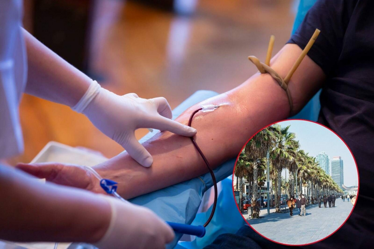 Diseno sin titulo 60 1600 1067