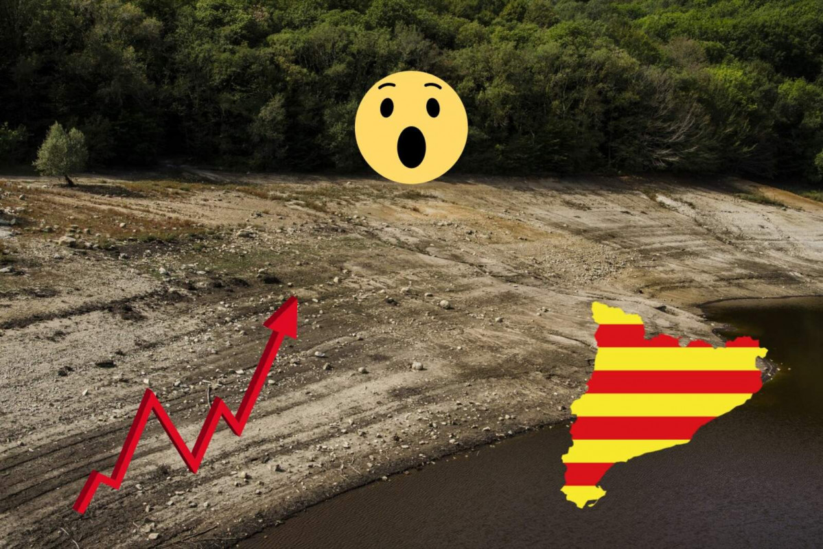 Embalse cat 1600 1067