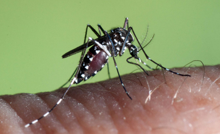 Más de 7,000 afectados: un virus con síntomas graves desata el miedo en la población china.
