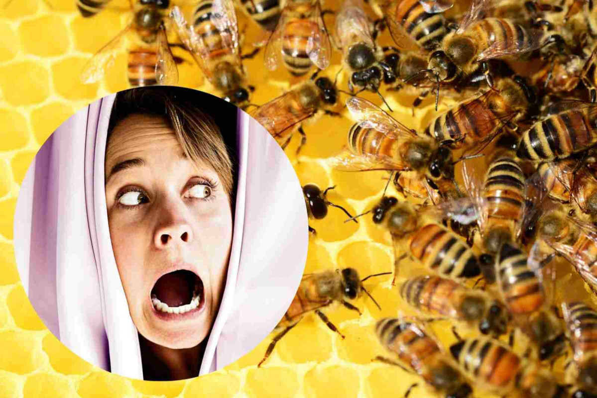 Abejas terror 1600 1067
