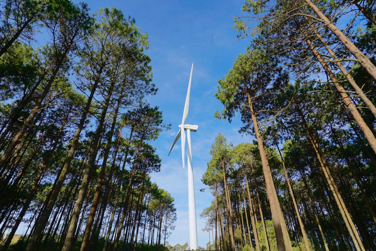 Europapress 6033473 parque eolico iberdrola 1600 1067