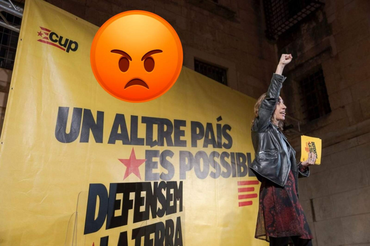 Cup enfado 1600 1067