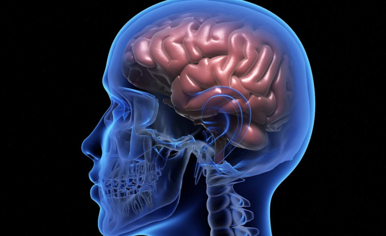 Cómo se mueve el cerebro: una IA revela claves para entender y tratar enfermedades mentales