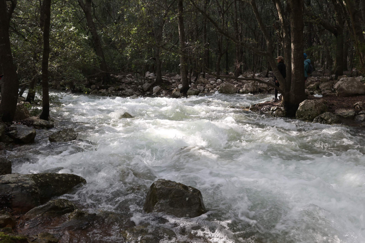 Europapress 4978732 ses fonts ufanes brotan lluvias finca publica gabelli petit sierra 1600 1067