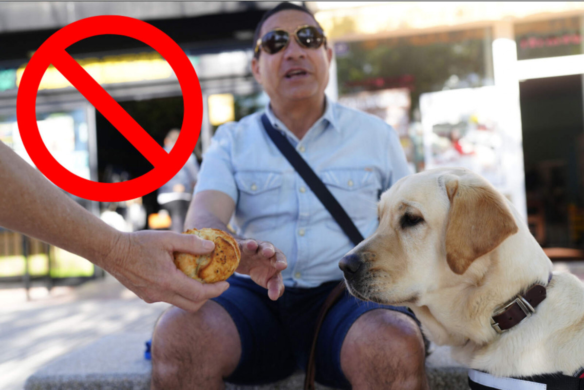 Catalunyapress gossospig 1600 1067