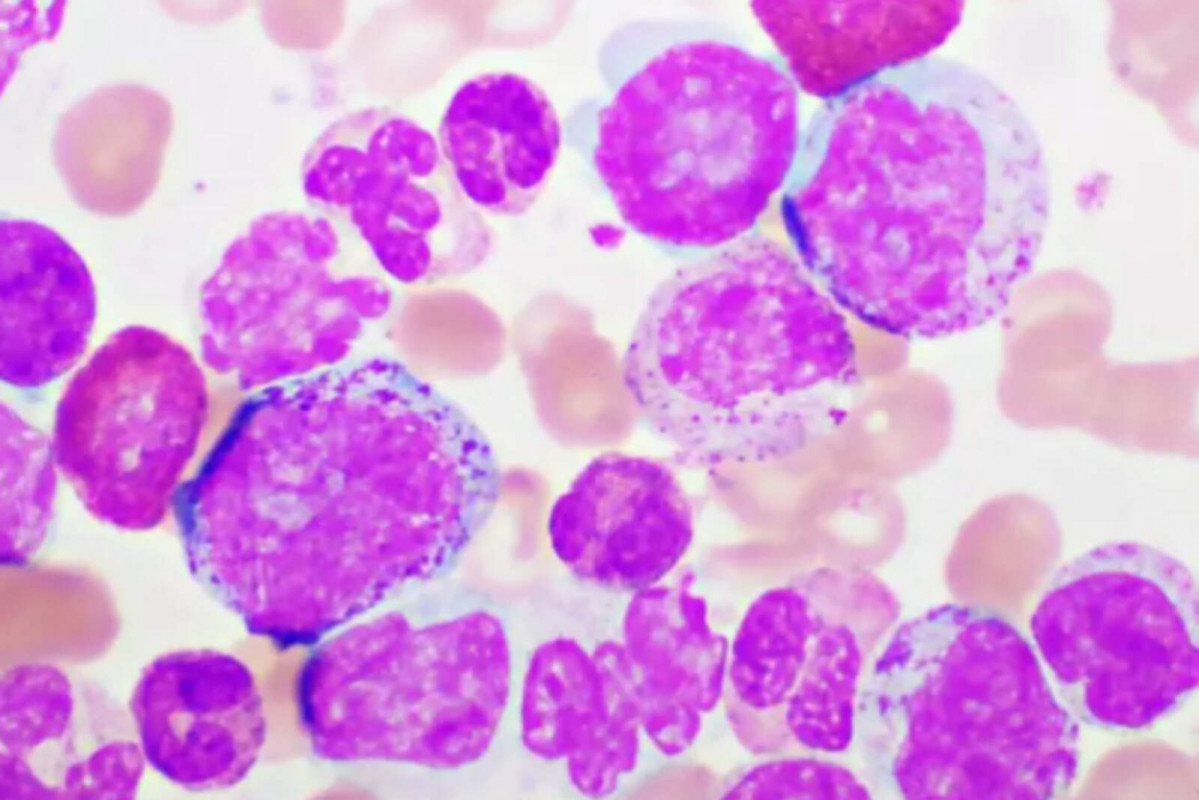 Catalunyapress invesleuc 1600 1067