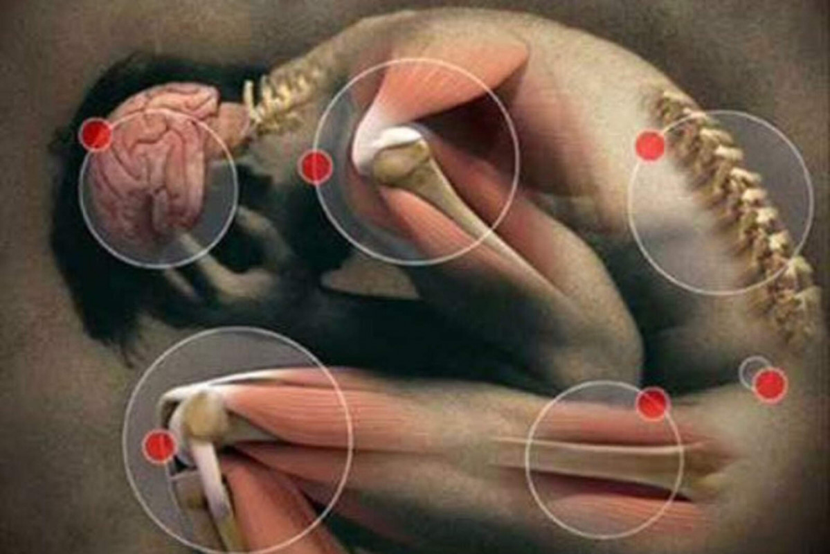 Catalunyapress fibrom10maig24 1600 1067