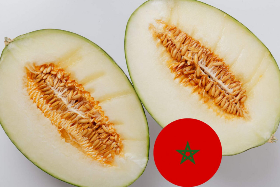 Melon marruecos 1600 1067